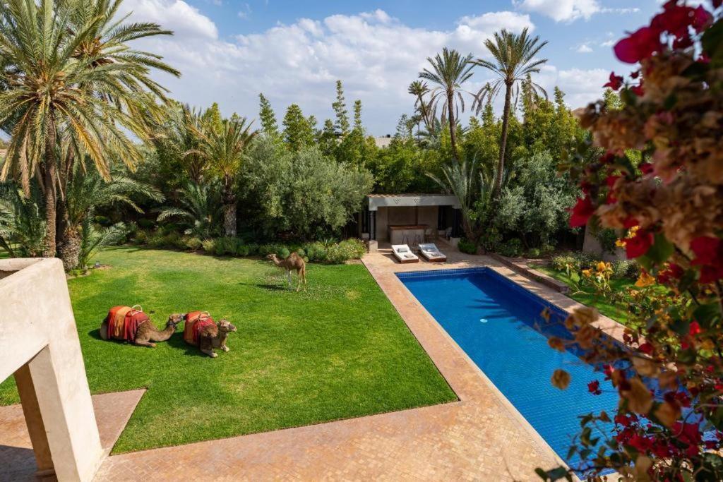 Villa Sahar Palmeraie Avec Piscine Chauffee ! Marrakesh Exterior photo